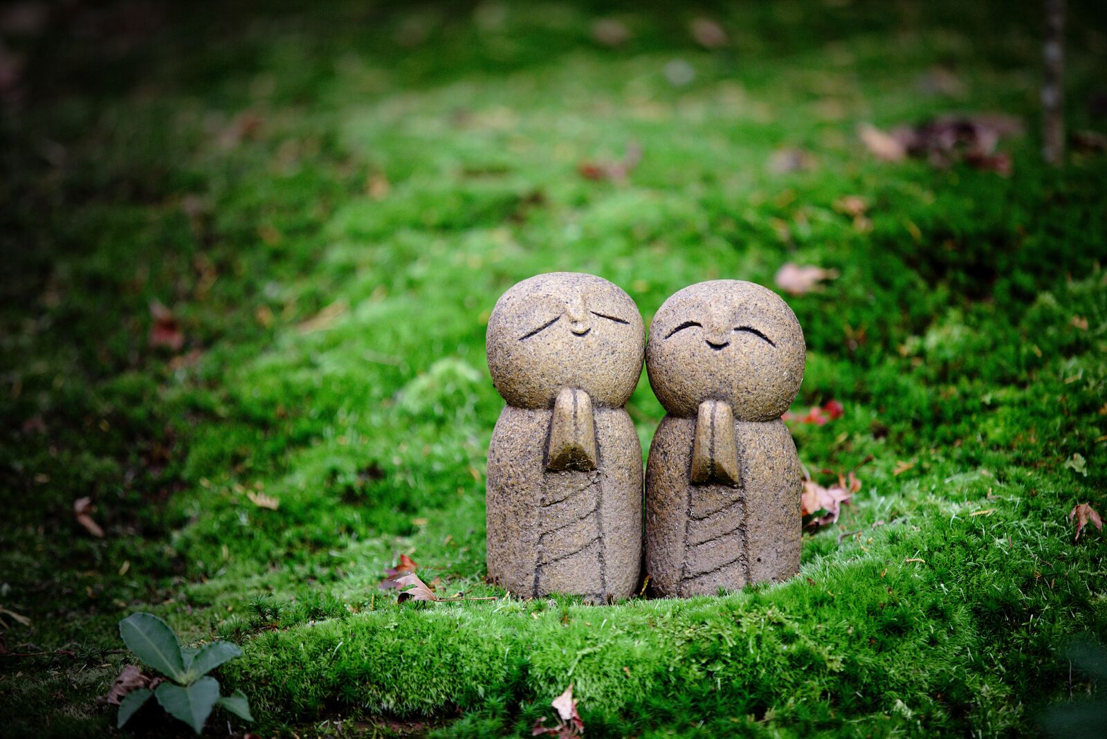 Canon EOS 6D sample photo. Moss, figures, monk photography