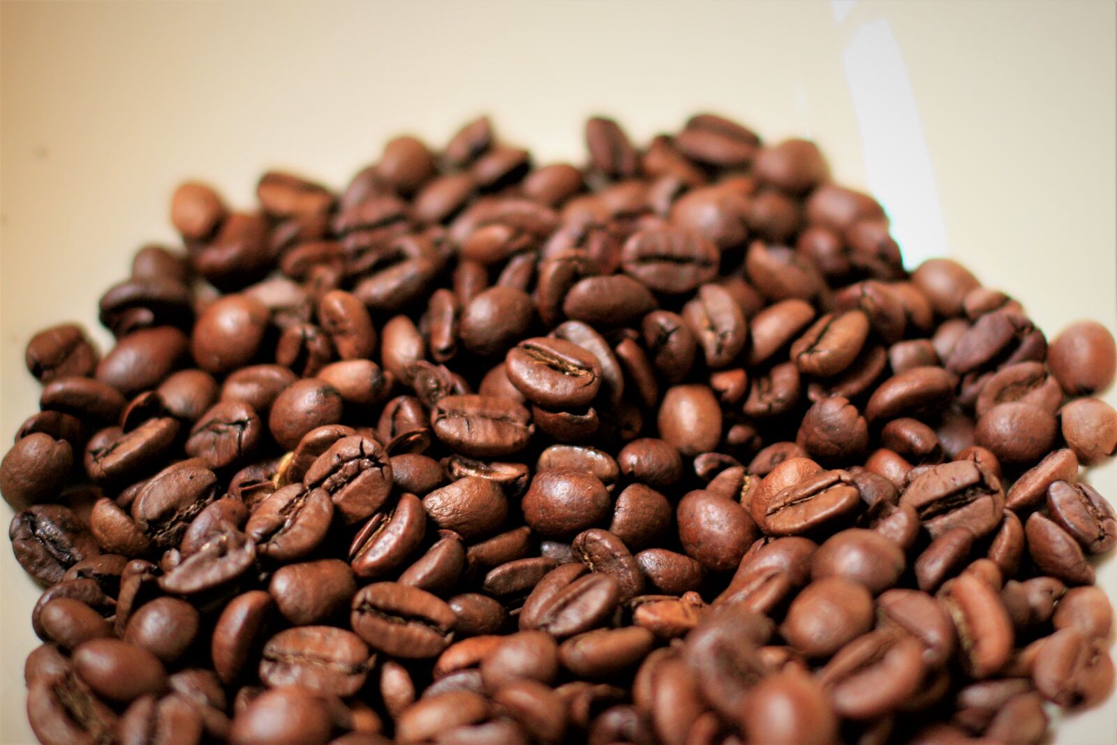 Canon EOS 70D + Canon EF 50mm F1.4 USM sample photo. Coffee, beans, co photography