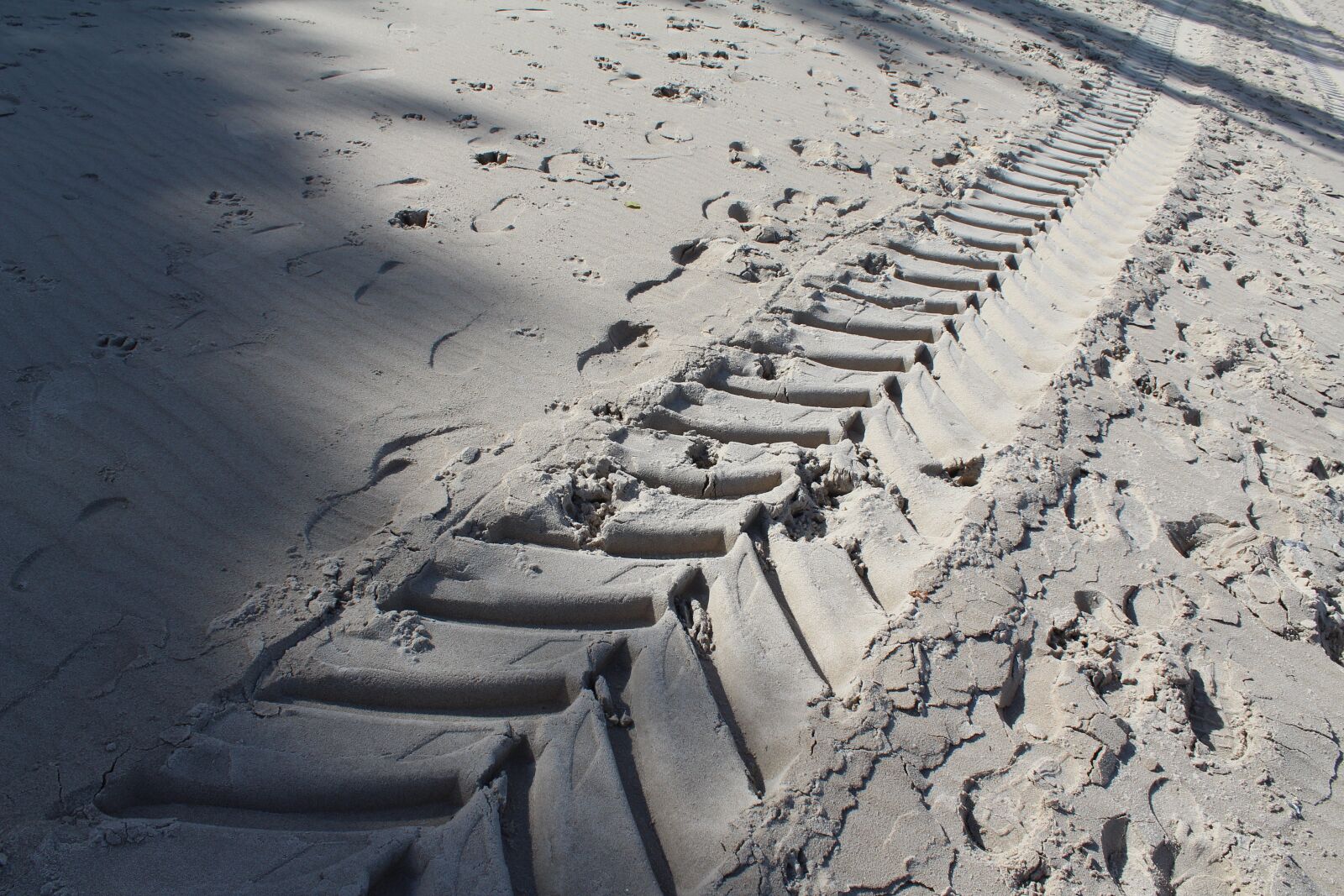 Canon EOS 1300D (EOS Rebel T6 / EOS Kiss X80) sample photo. Sand, trace, beach photography