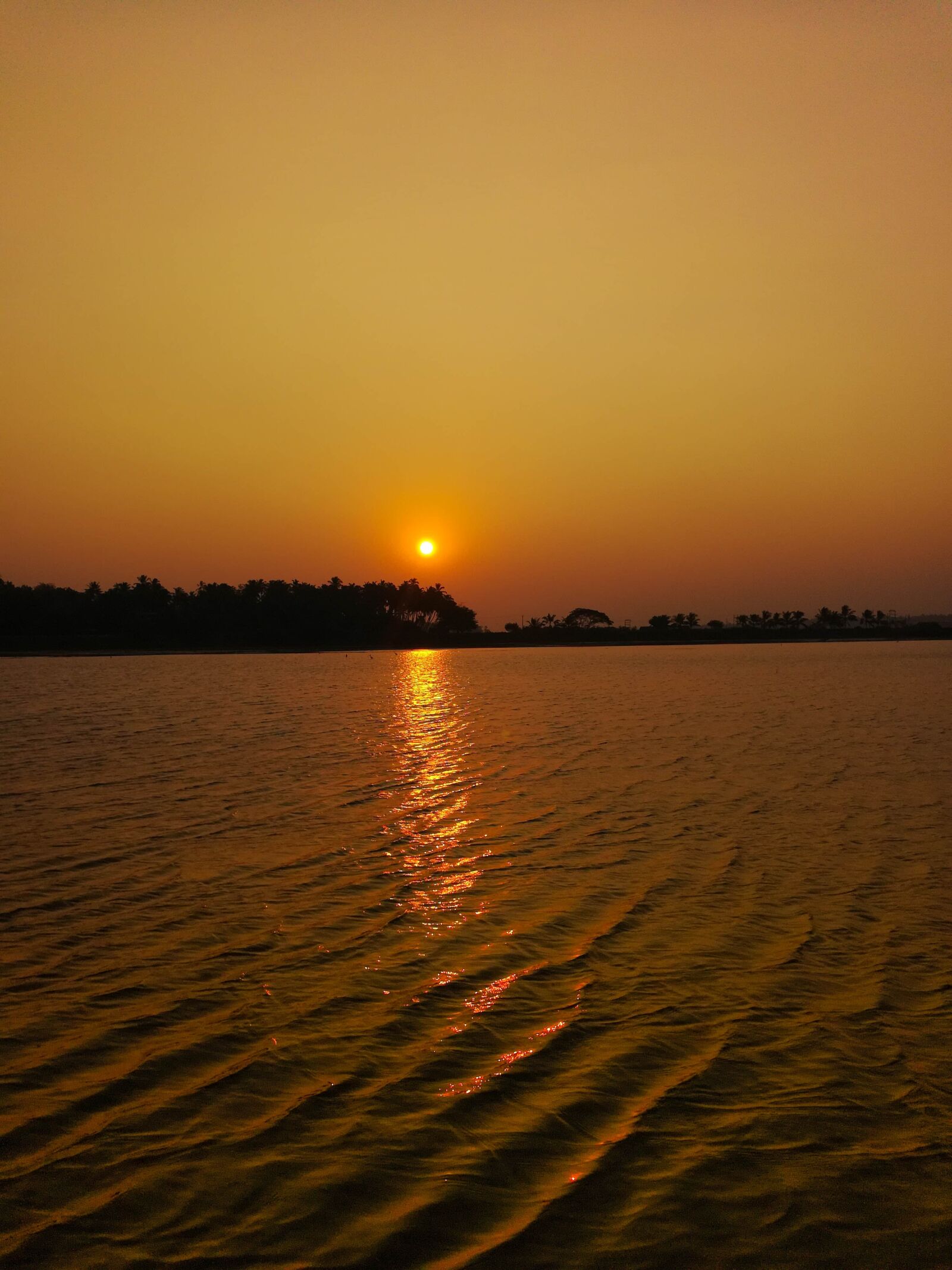 HUAWEI honor 6x sample photo. Sunset, nature, silhouette photography