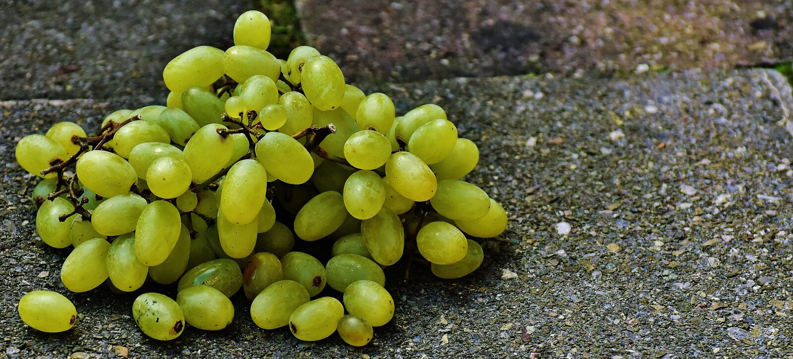 Nikon D7200 sample photo. Grapes, fruit, healthy photography