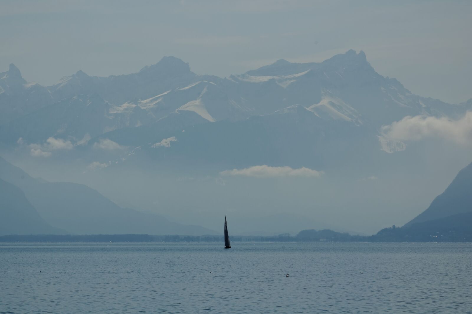 Nikon D50 sample photo. Sailing boat, geneva, lake photography