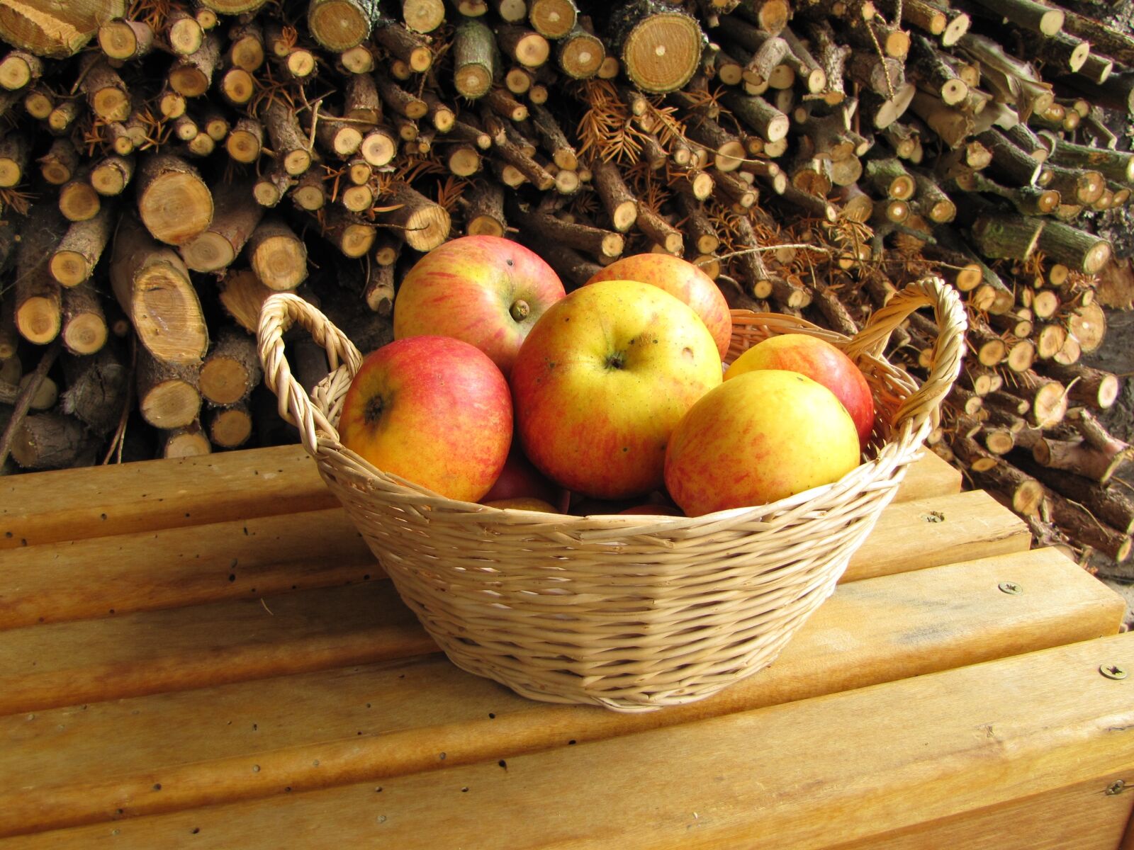 Canon PowerShot SX20 IS sample photo. Apple, firewood, autumn photography