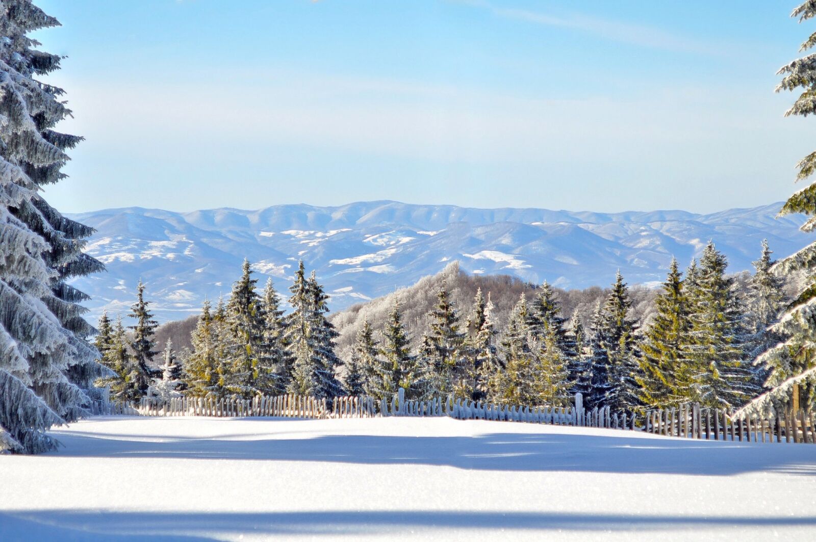 Nikon D90 sample photo. Snow, winter, wood photography