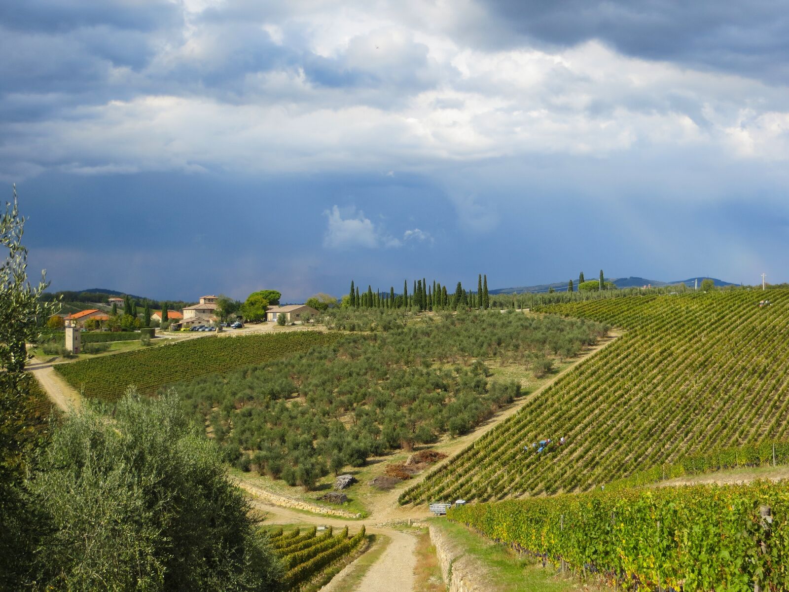 Canon PowerShot SX240 HS sample photo. Ama, chianti, tuscany photography