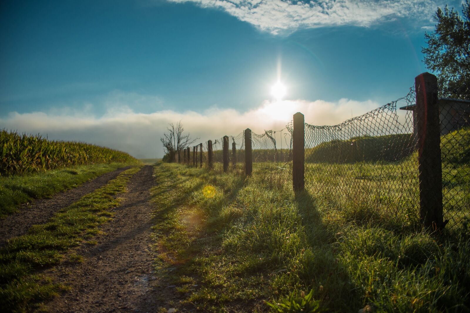 Nikon D800 sample photo. Away, road, lane photography
