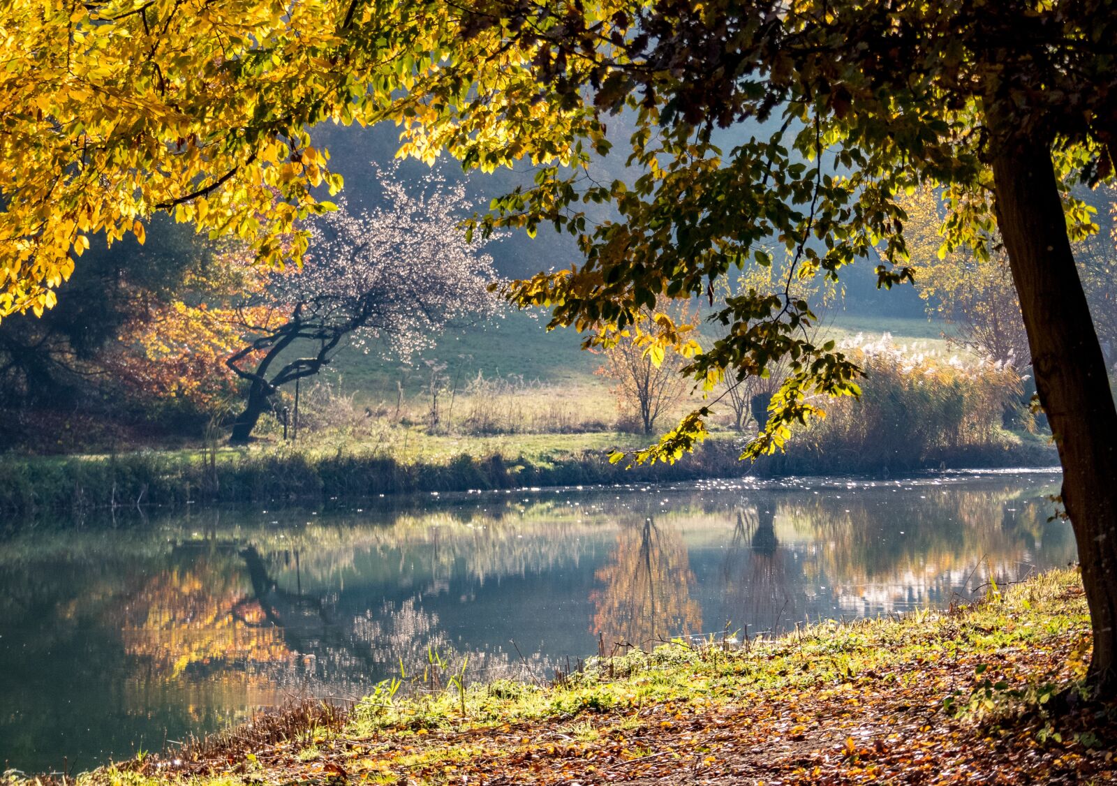 Panasonic Lumix DMC-FZ300 sample photo. Autumn, lake, landscape photography