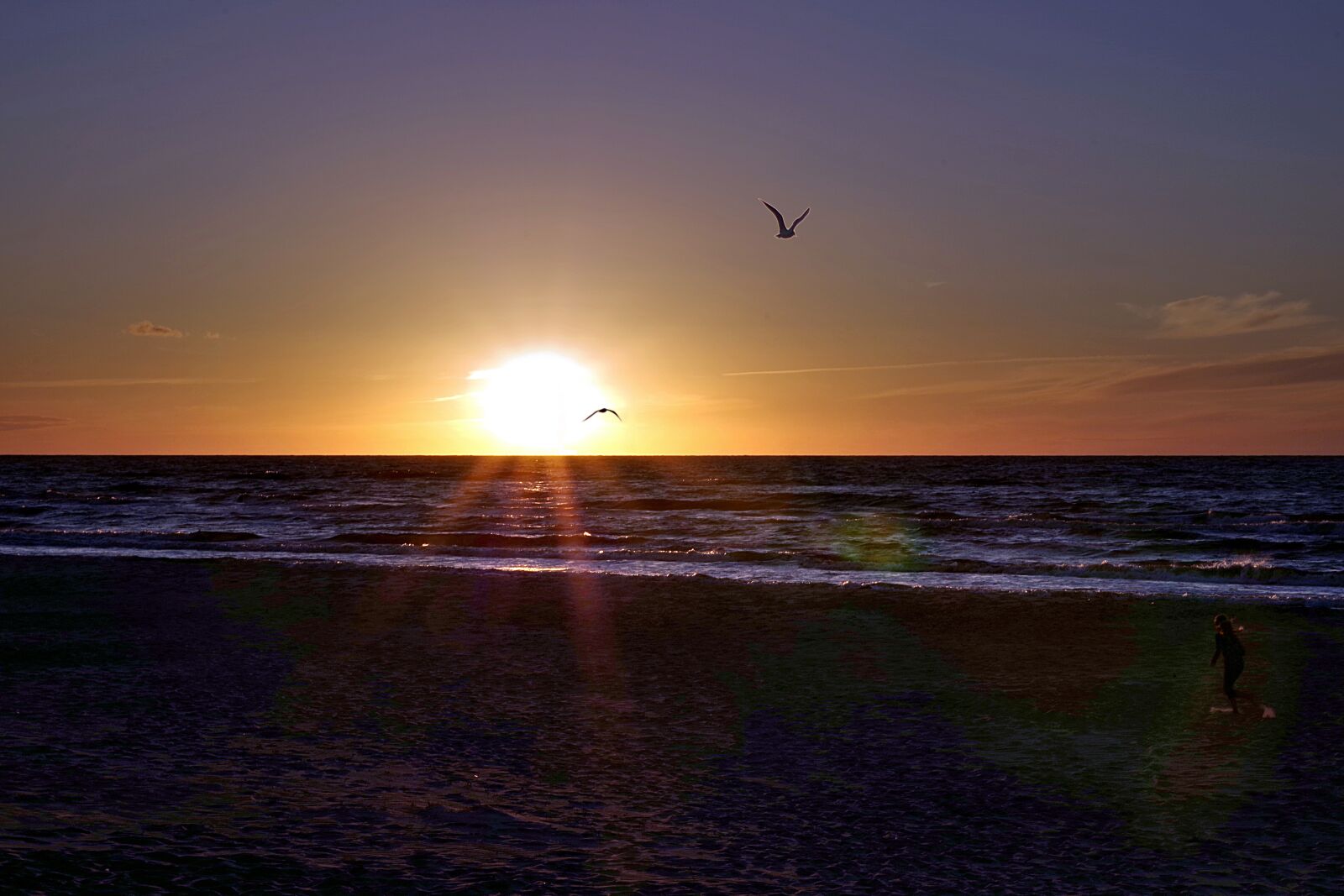 Pentax K-S2 sample photo. Beach, bird, sunset photography