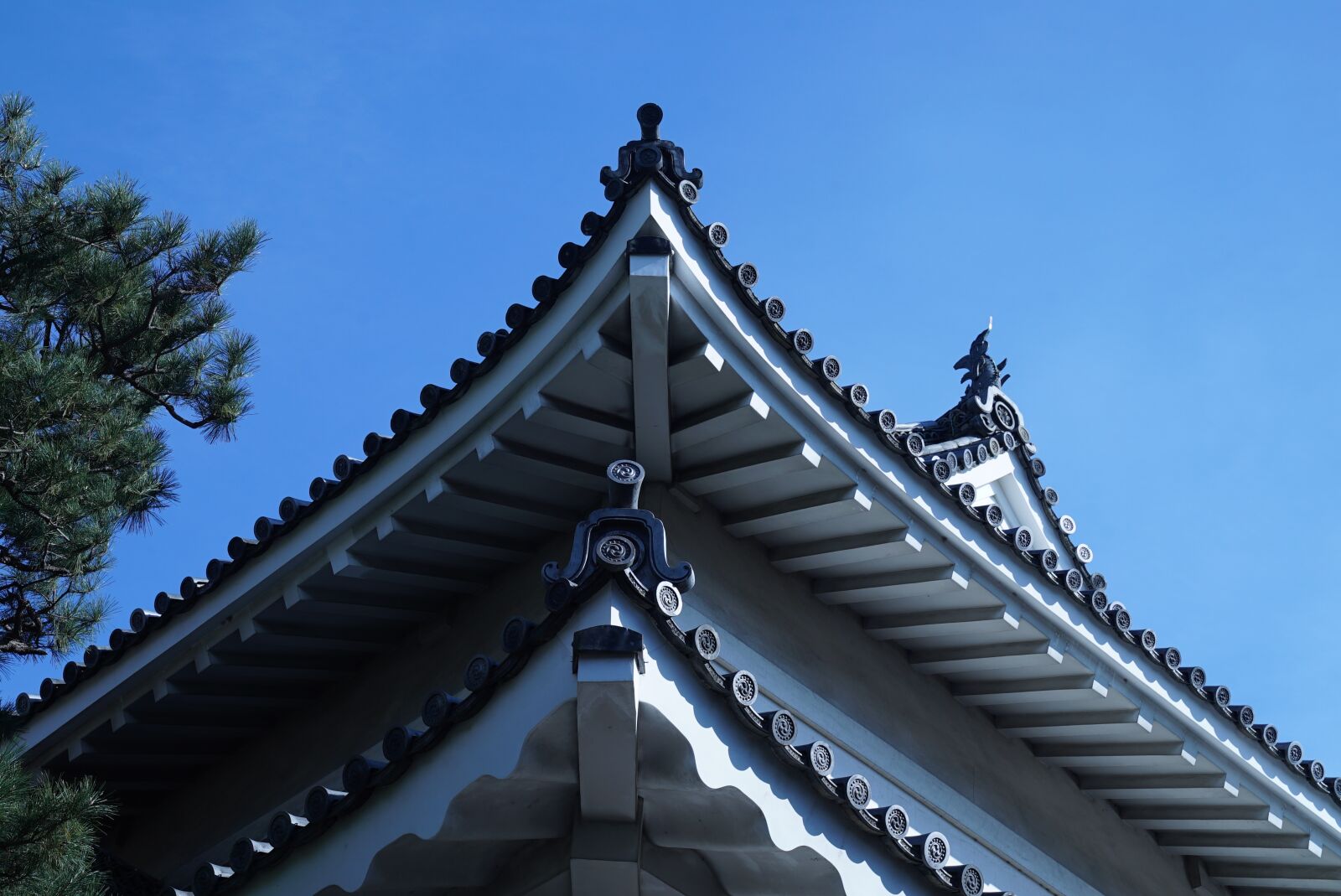 Sony a7S + Sony FE 24-70mm F2.8 GM sample photo. Japanese palace details, kyoto photography
