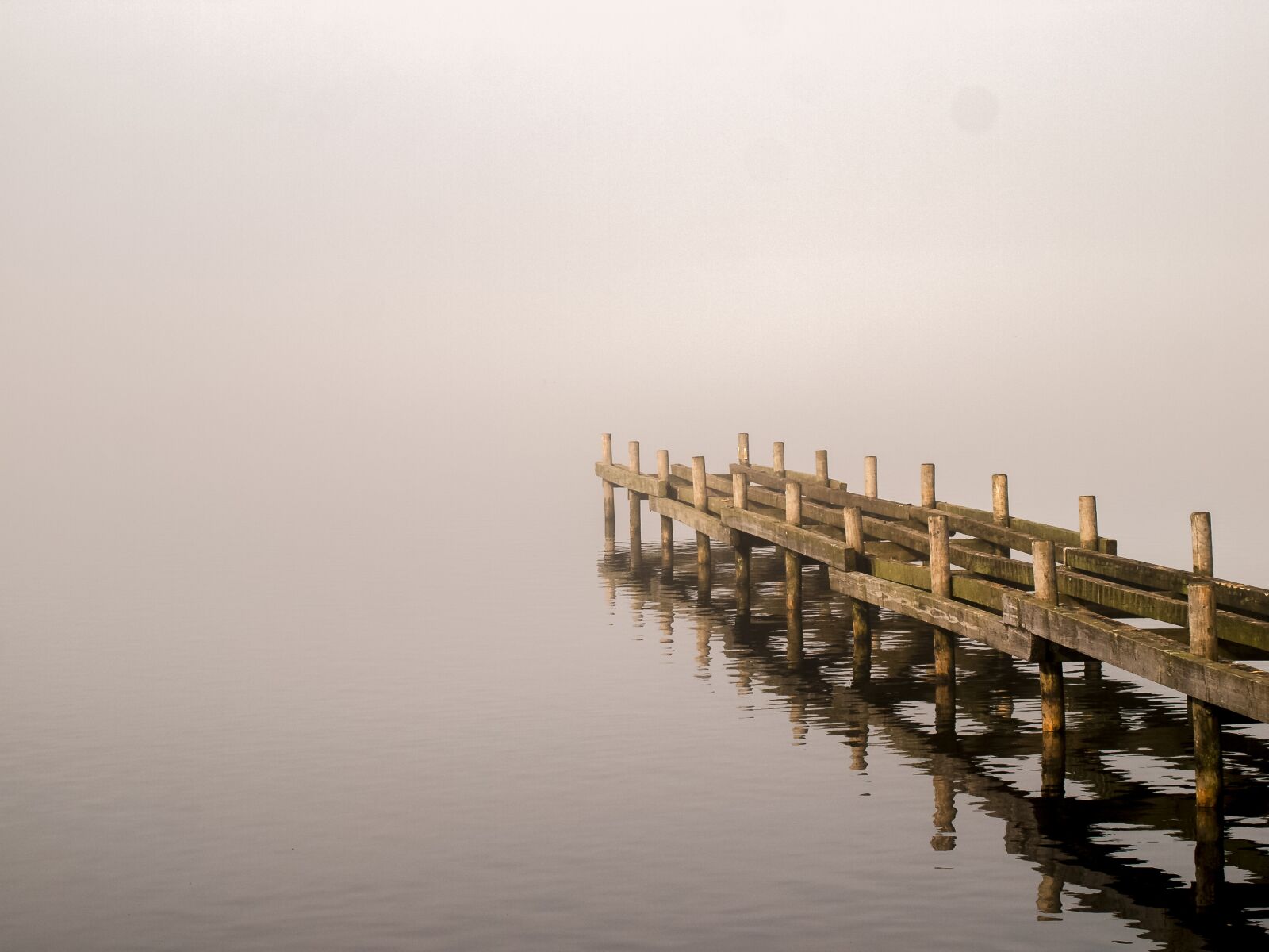 Olympus E-3 sample photo. Web, water, fog photography