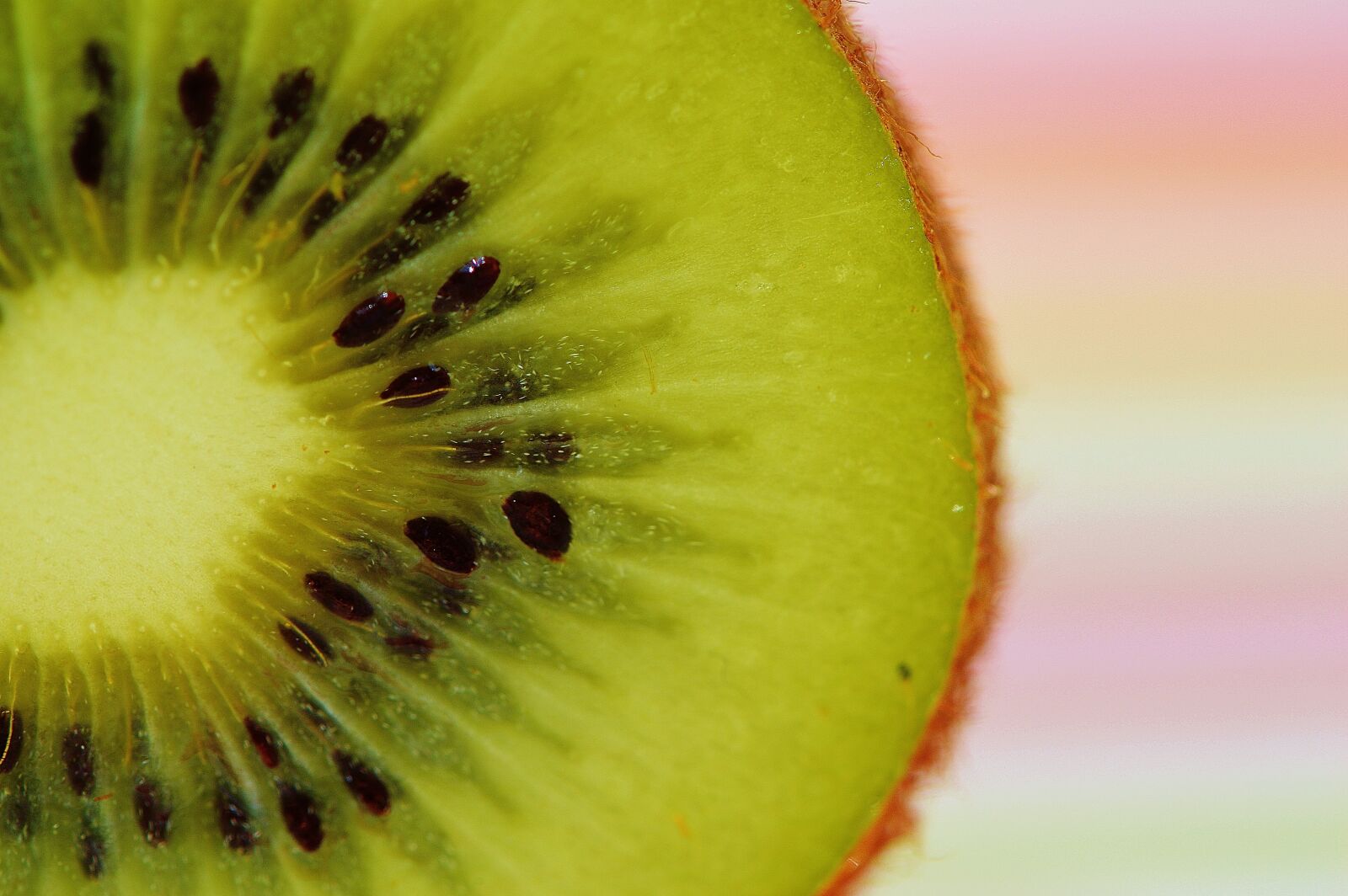 Nikon D3200 sample photo. Kiwi, fruit, healthy photography