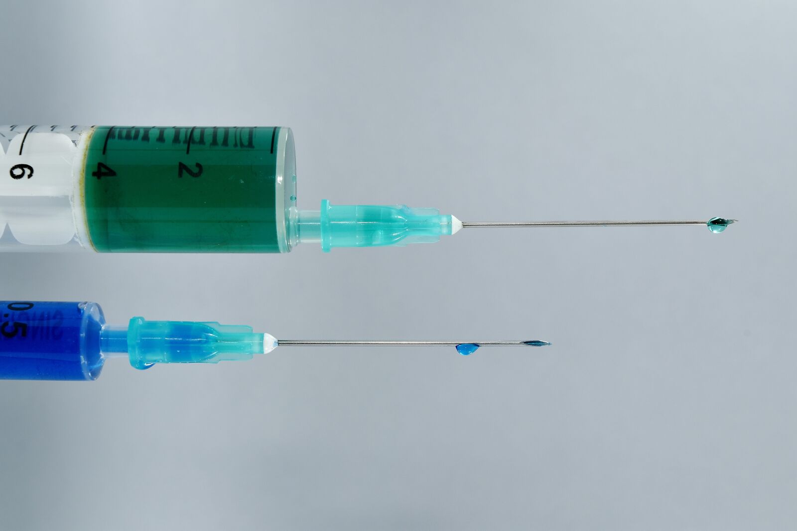 Nikon D5500 sample photo. Biology, microbiology, needles, precision photography