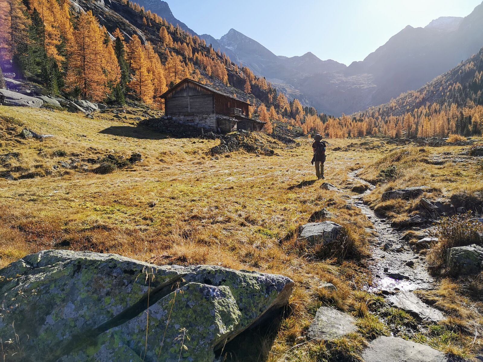 HUAWEI CLT-L09 sample photo. Walk, trekking, nature photography