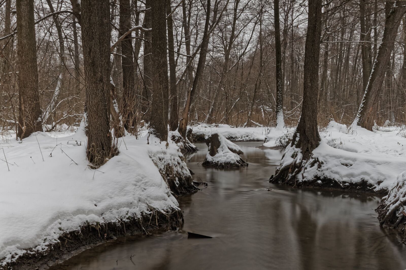 Canon EOS 500D (EOS Rebel T1i / EOS Kiss X3) sample photo. Winter, river, beach photography