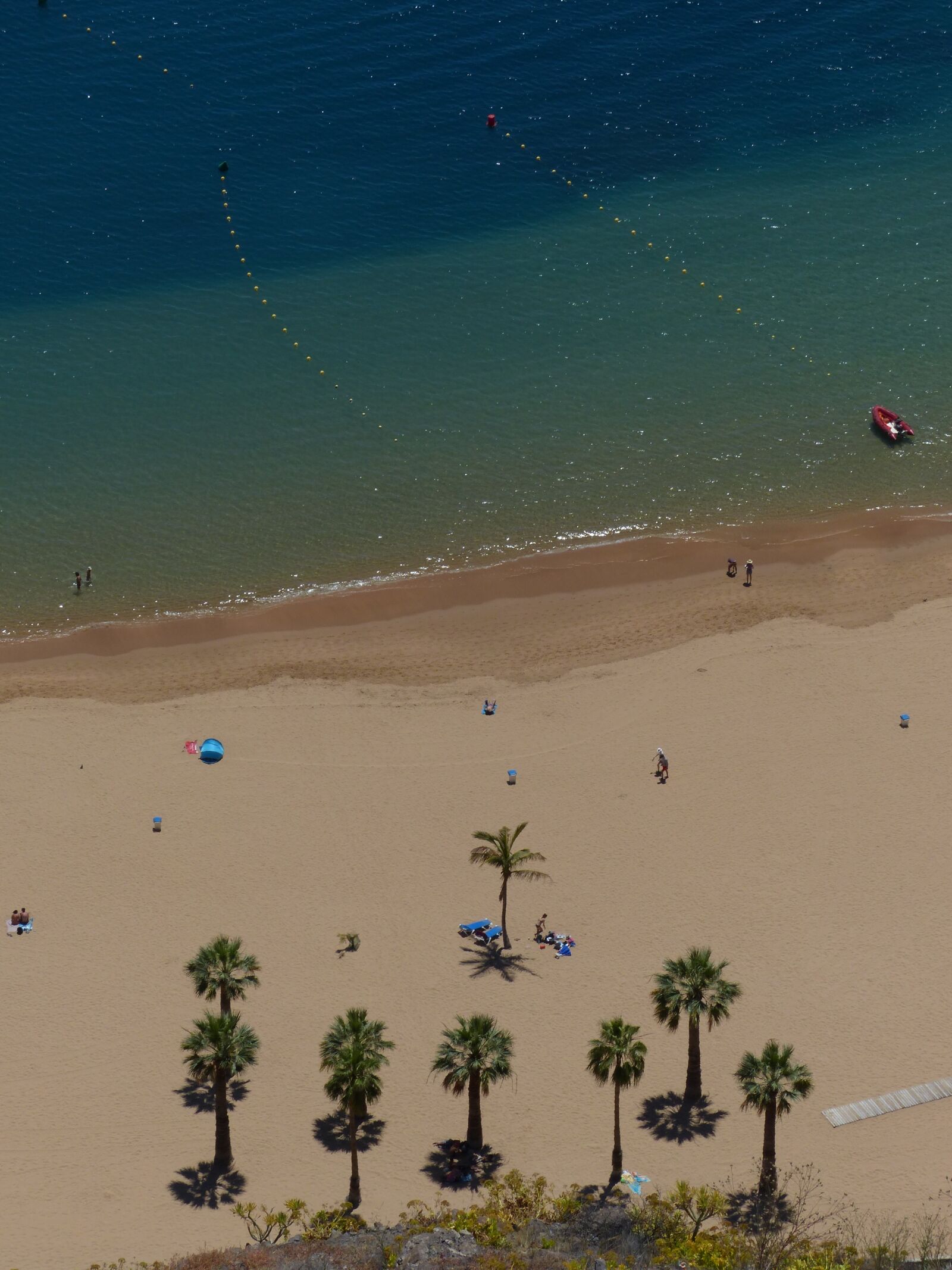Panasonic Lumix DMC-FZ200 sample photo. Sand beach, beach, palm photography