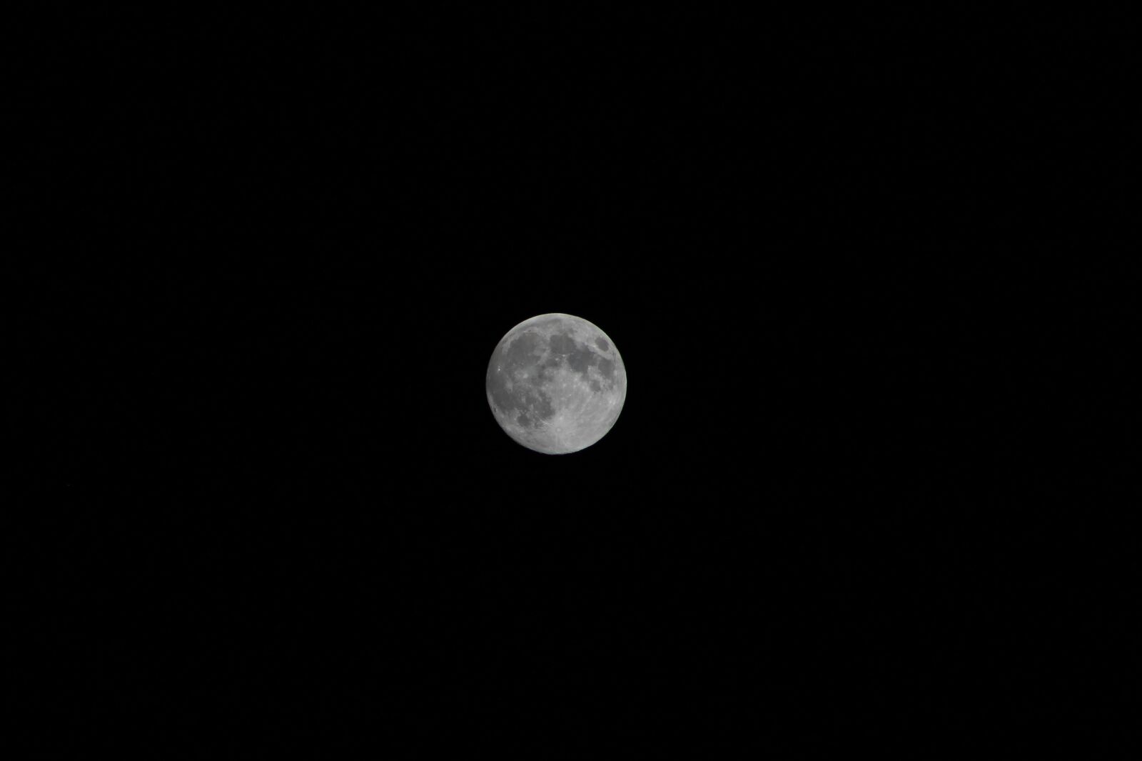 Canon EOS 1100D (EOS Rebel T3 / EOS Kiss X50) + Canon EF75-300mm f/4-5.6 sample photo. Kamer, month, fullmoon photography