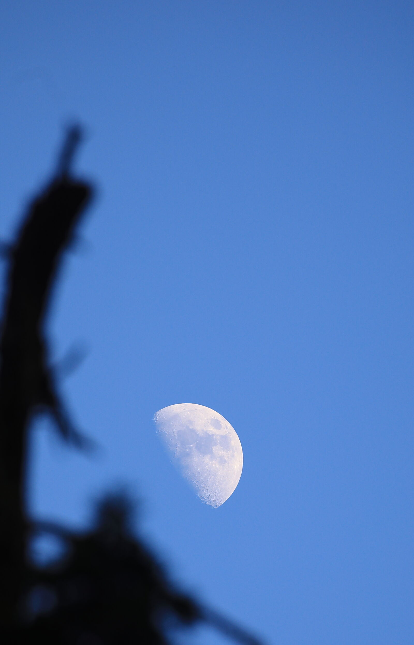 Canon EOS 5D Mark IV sample photo