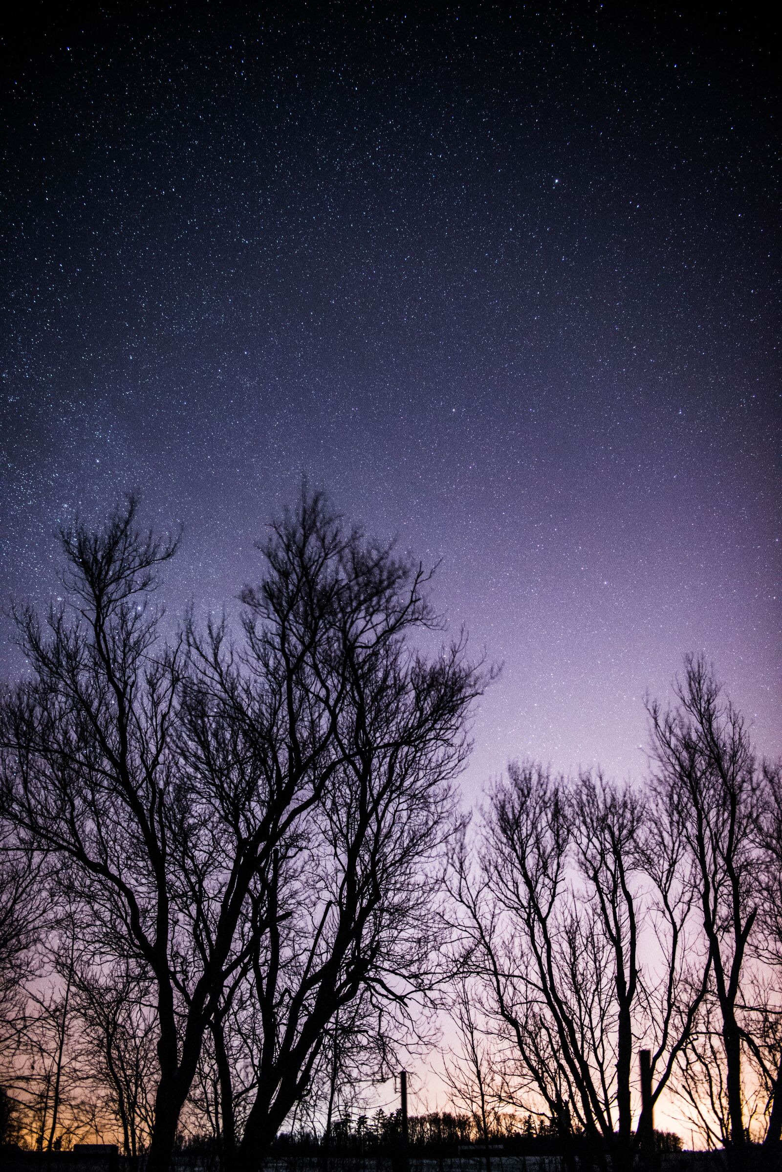 Nikon D800E sample photo. Stars, starry, night photography