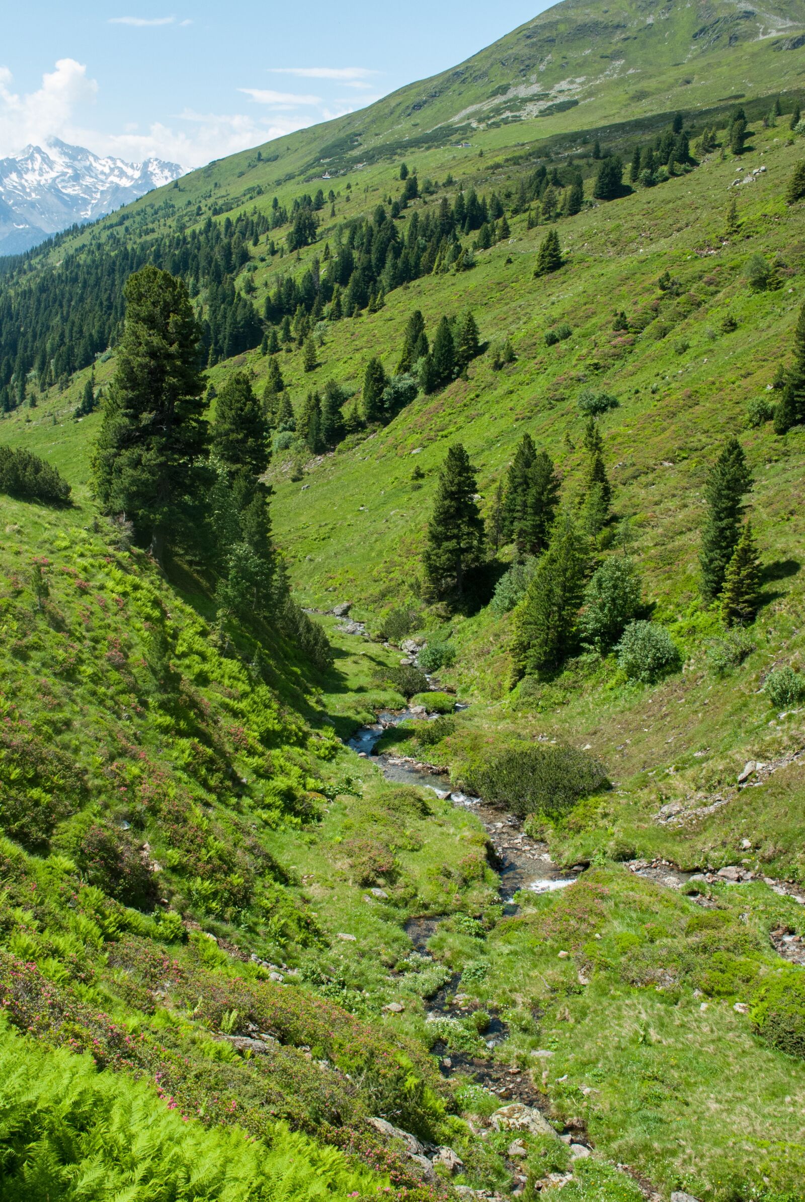 Nikon D60 sample photo. Mountains, hiking, bach photography