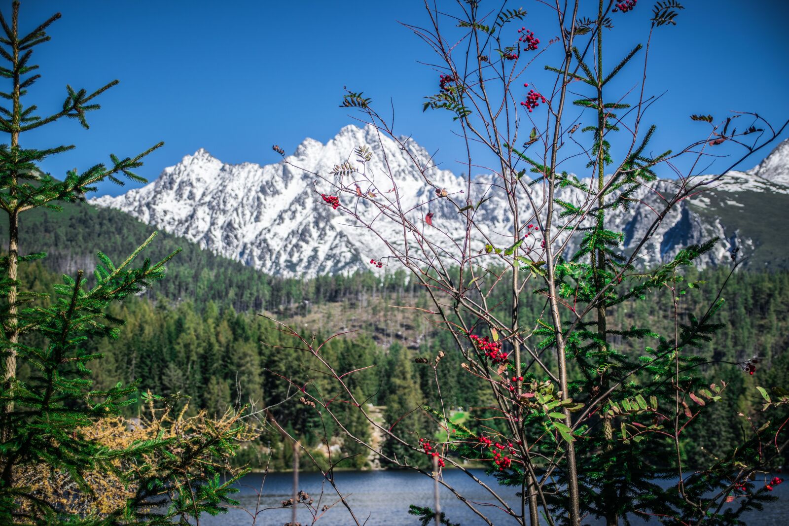Nikon D5300 sample photo. Lake, pleso, nature photography
