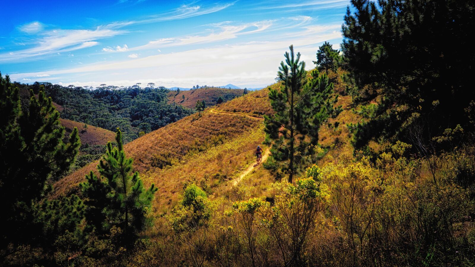 Sony Alpha a3000 + Sony E 18-55mm F3.5-5.6 OSS sample photo. Mato, trail, forest photography
