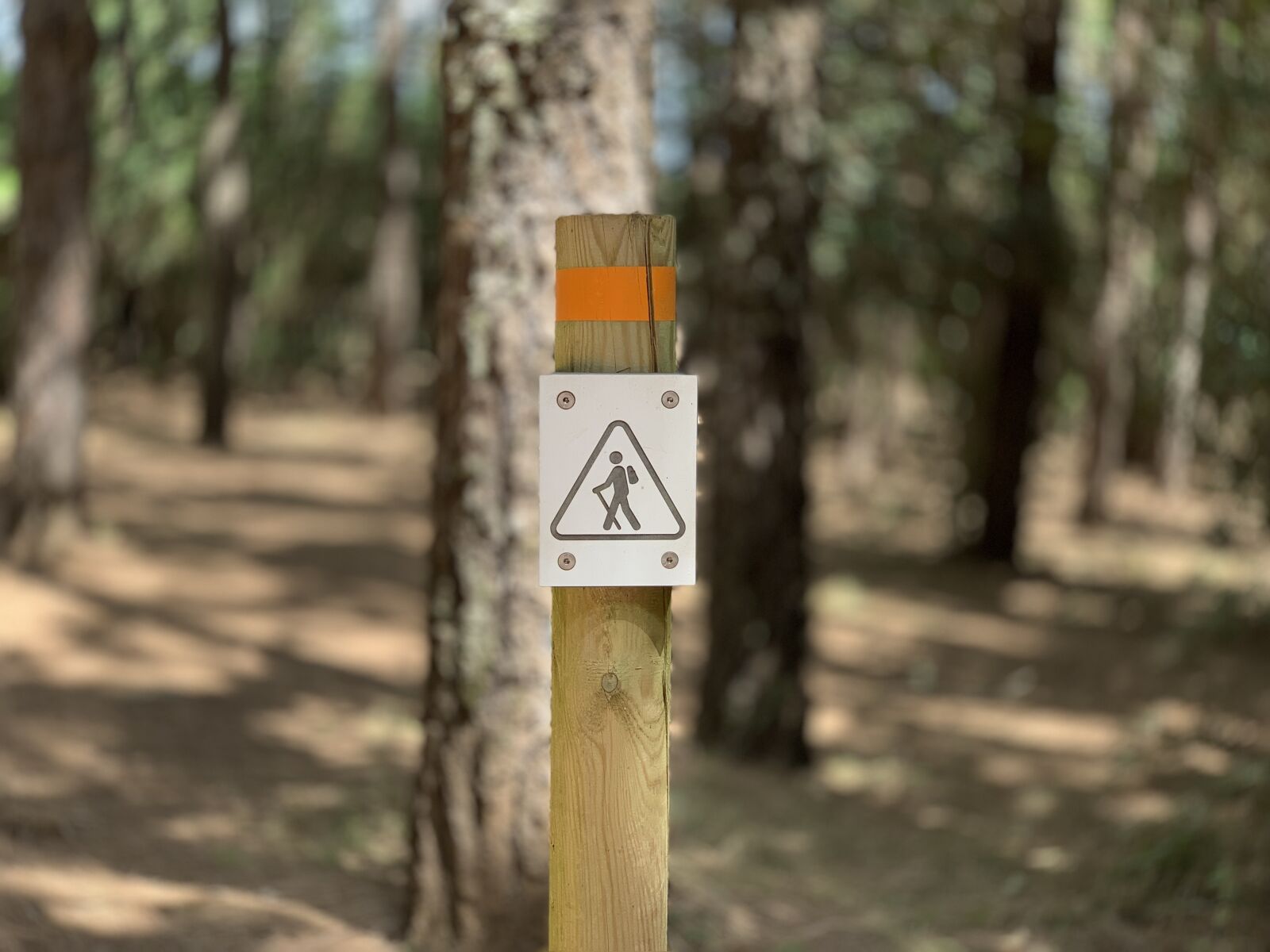iPhone XS back dual camera 6mm f/2.4 sample photo. Trails, kick, running photography