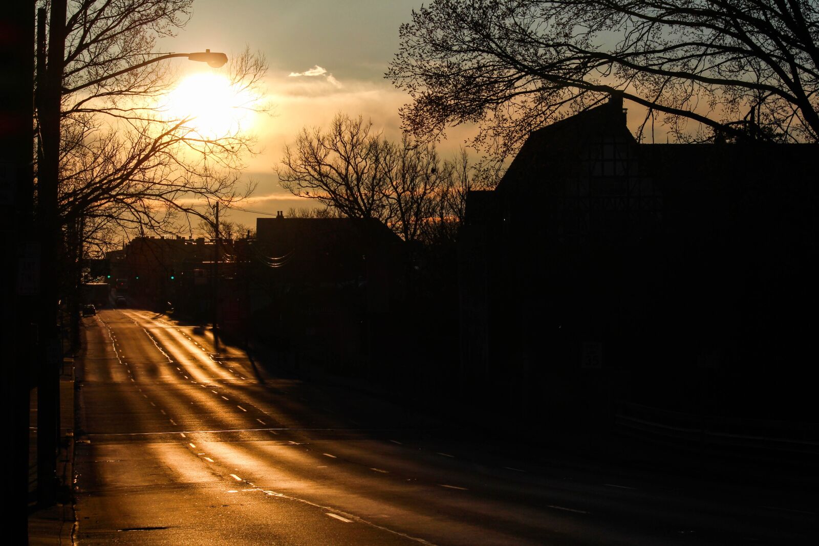 Canon EOS 700D (EOS Rebel T5i / EOS Kiss X7i) sample photo. Nature, dawn, tree photography