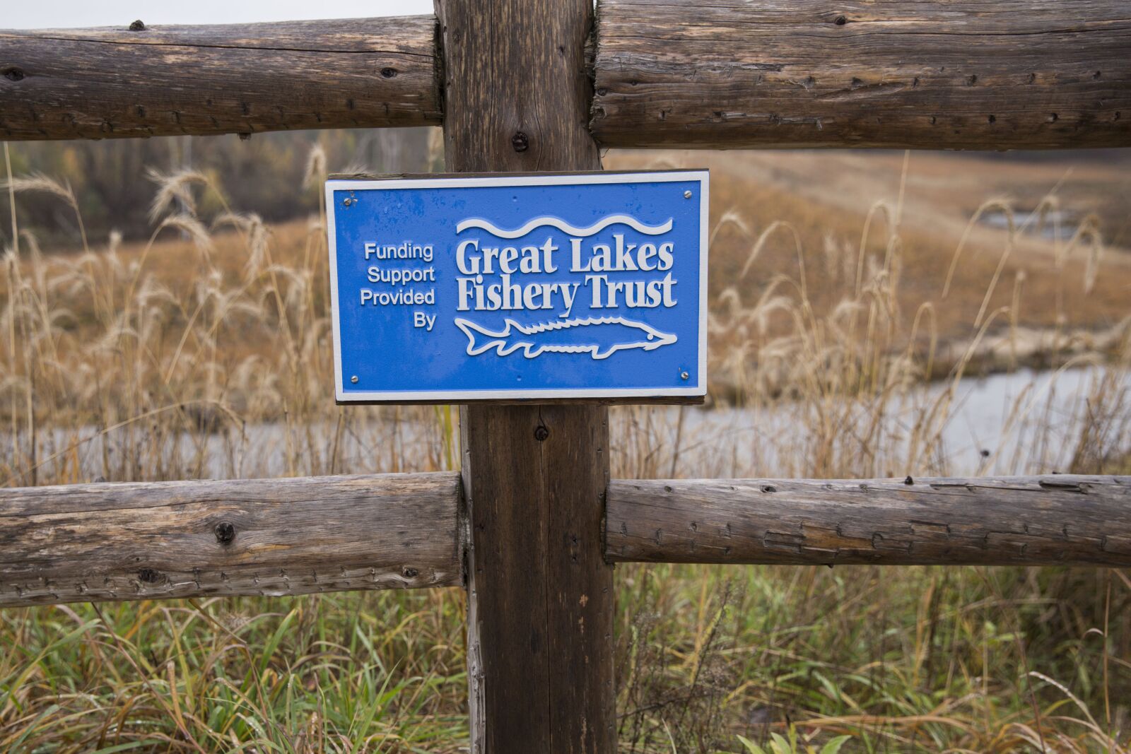 Canon EF 24-70mm F2.8L II USM sample photo. Great lakes fishery trust photography
