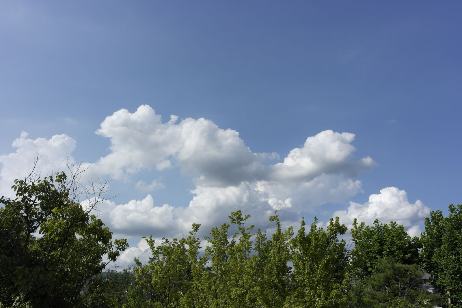Samsung NX1000 sample photo. Sky photo, cloud, clouds photography