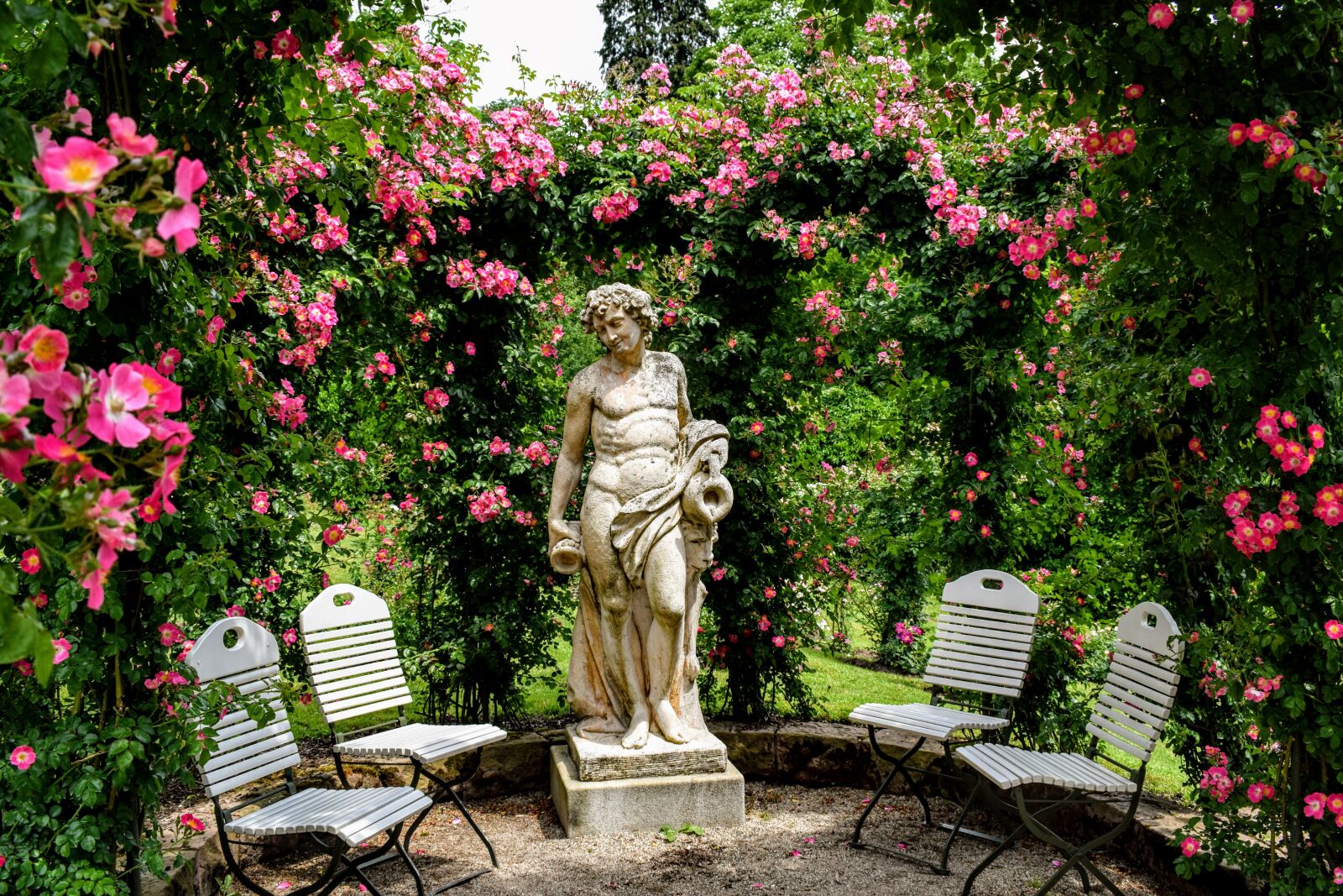 Nikon D5300 sample photo. Statue, roses, pink photography