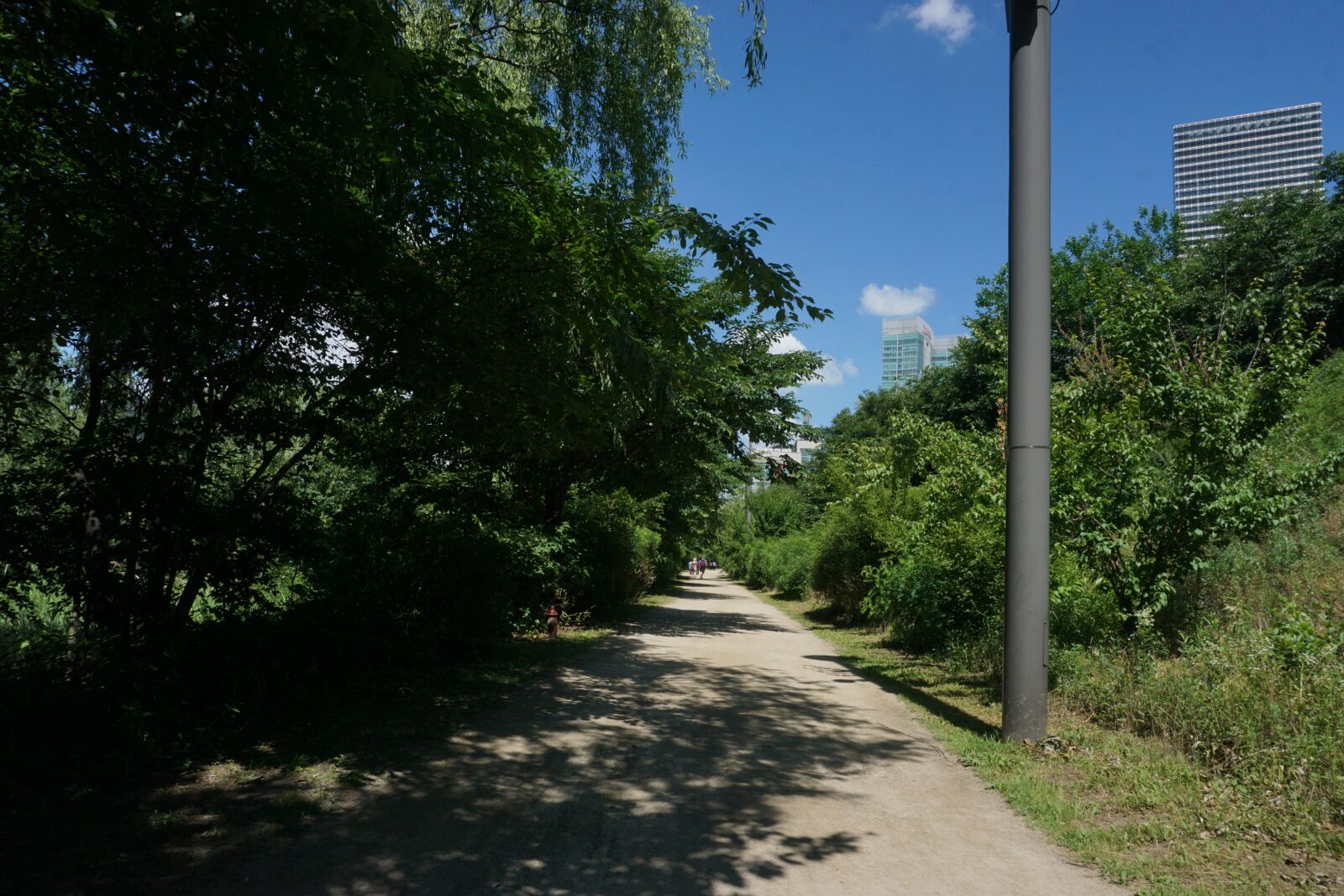 Sony a6000 sample photo. Sky, park, landscape photography
