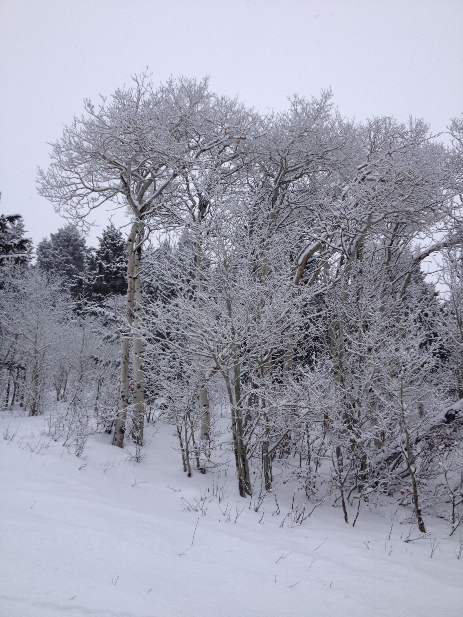 Apple iPhone 4S sample photo. Snow photography