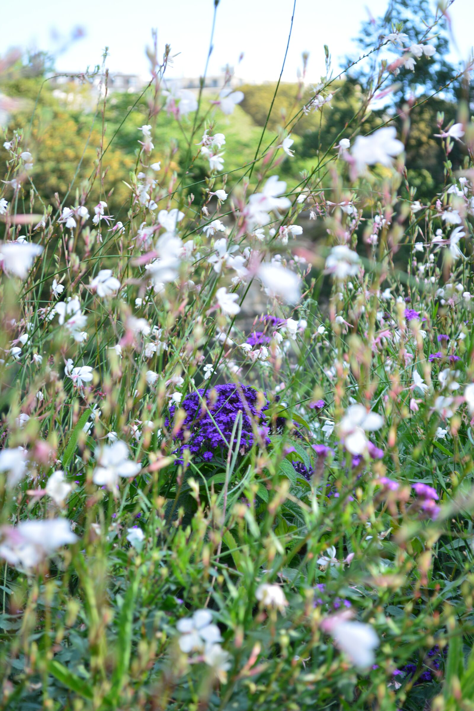 Nikon D5200 sample photo. France, paris, park photography