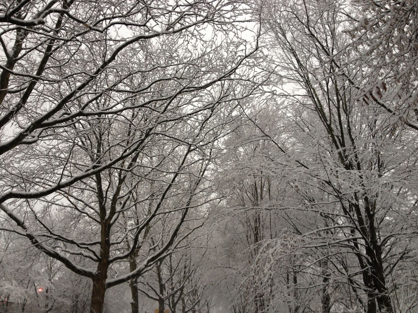 iPhone 4S back camera 4.28mm f/2.4 sample photo. Winter, snow, cold photography