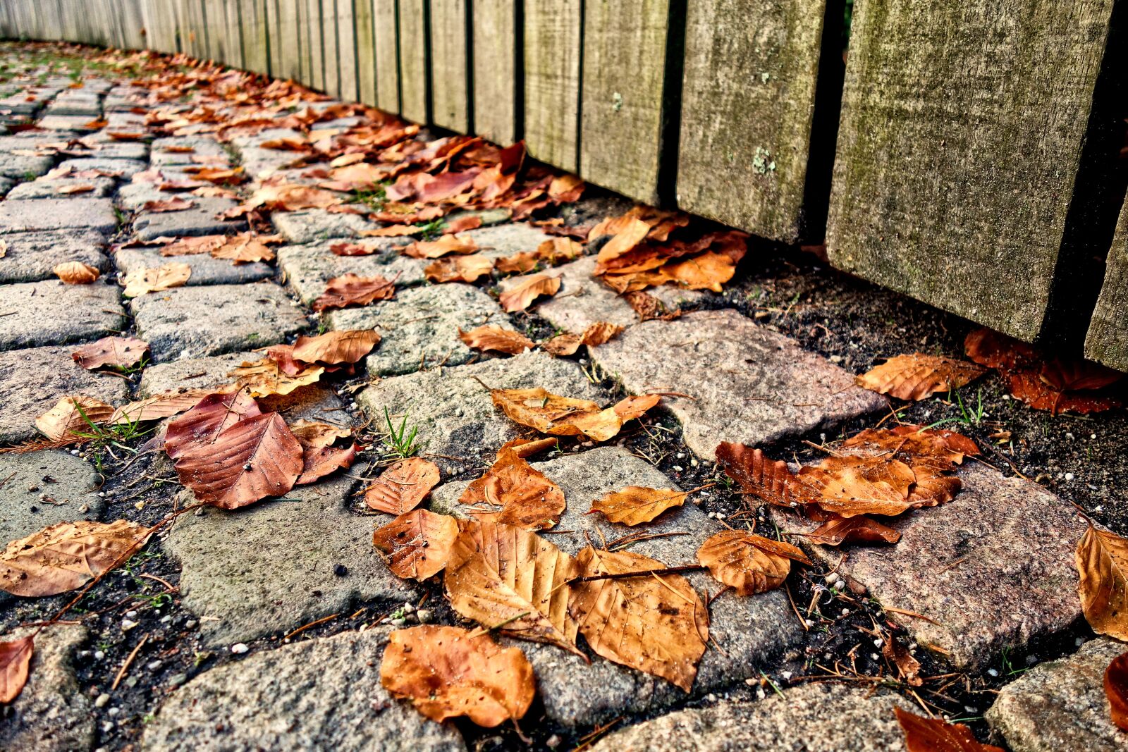 Sony Cyber-shot DSC-RX100 sample photo. Cobbles, stone, path photography