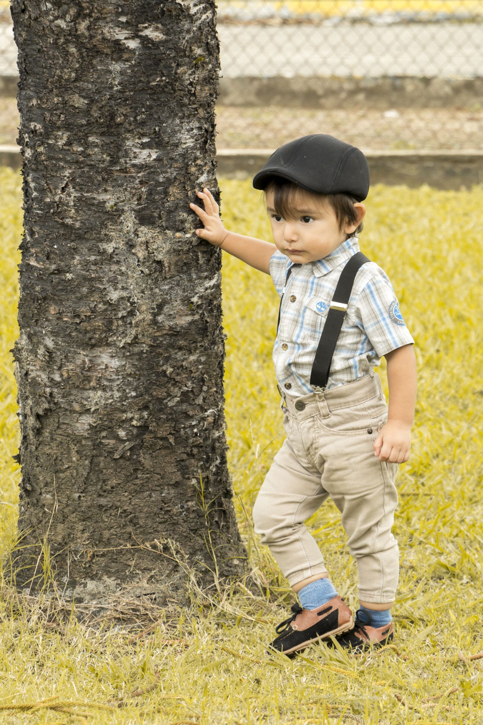 Canon EOS 70D sample photo. Field, green, nature photography