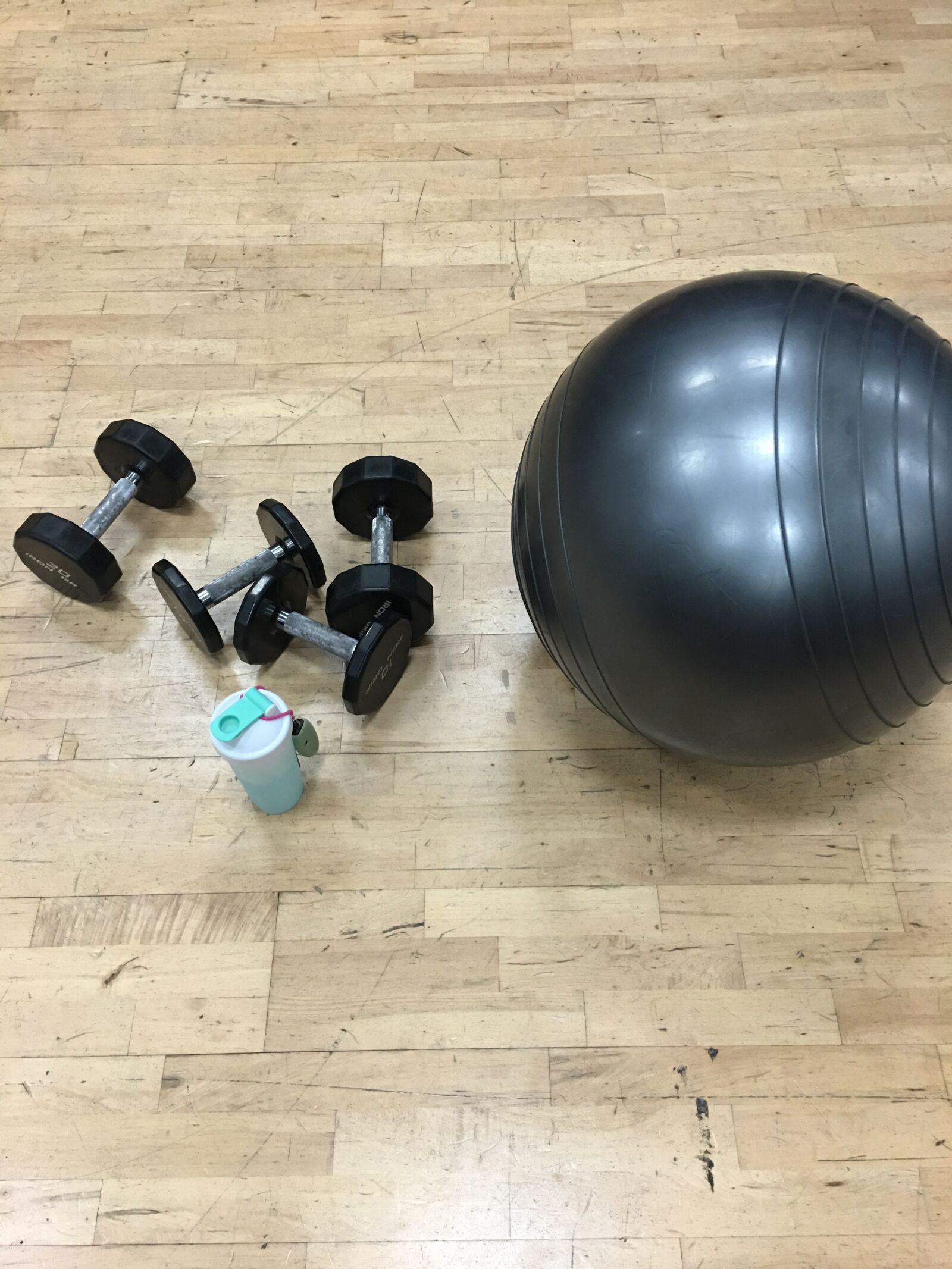 Apple iPhone 6s Plus sample photo. Gym, dumbbell, healthy photography