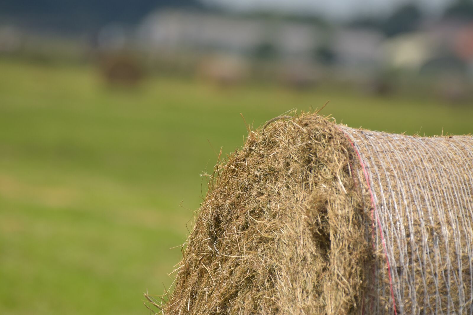 Nikon D5300 sample photo. Hay, round bales, hay photography