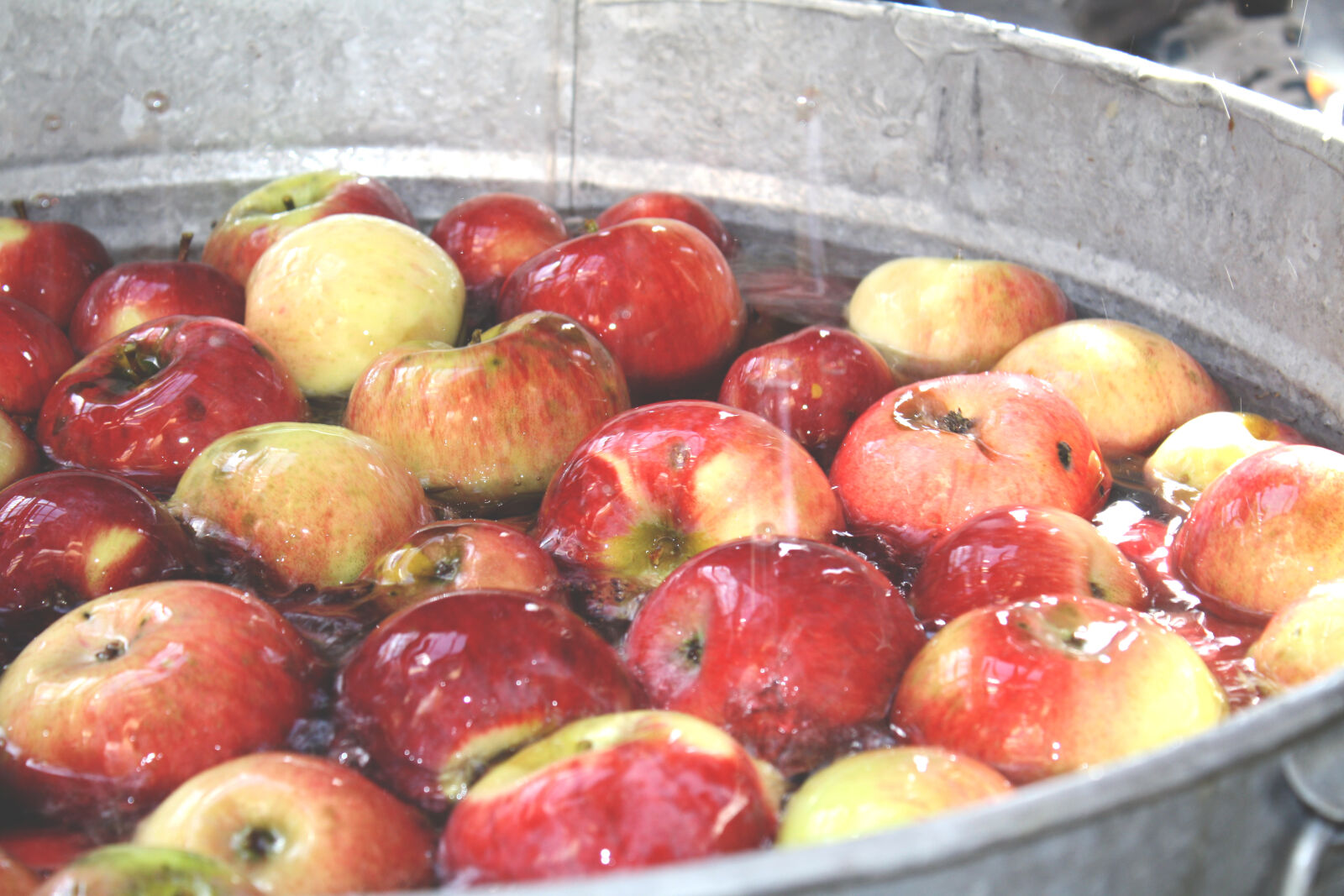 Canon EOS 1000D (EOS Digital Rebel XS / EOS Kiss F) sample photo. Apples, fall, farm, orchard photography