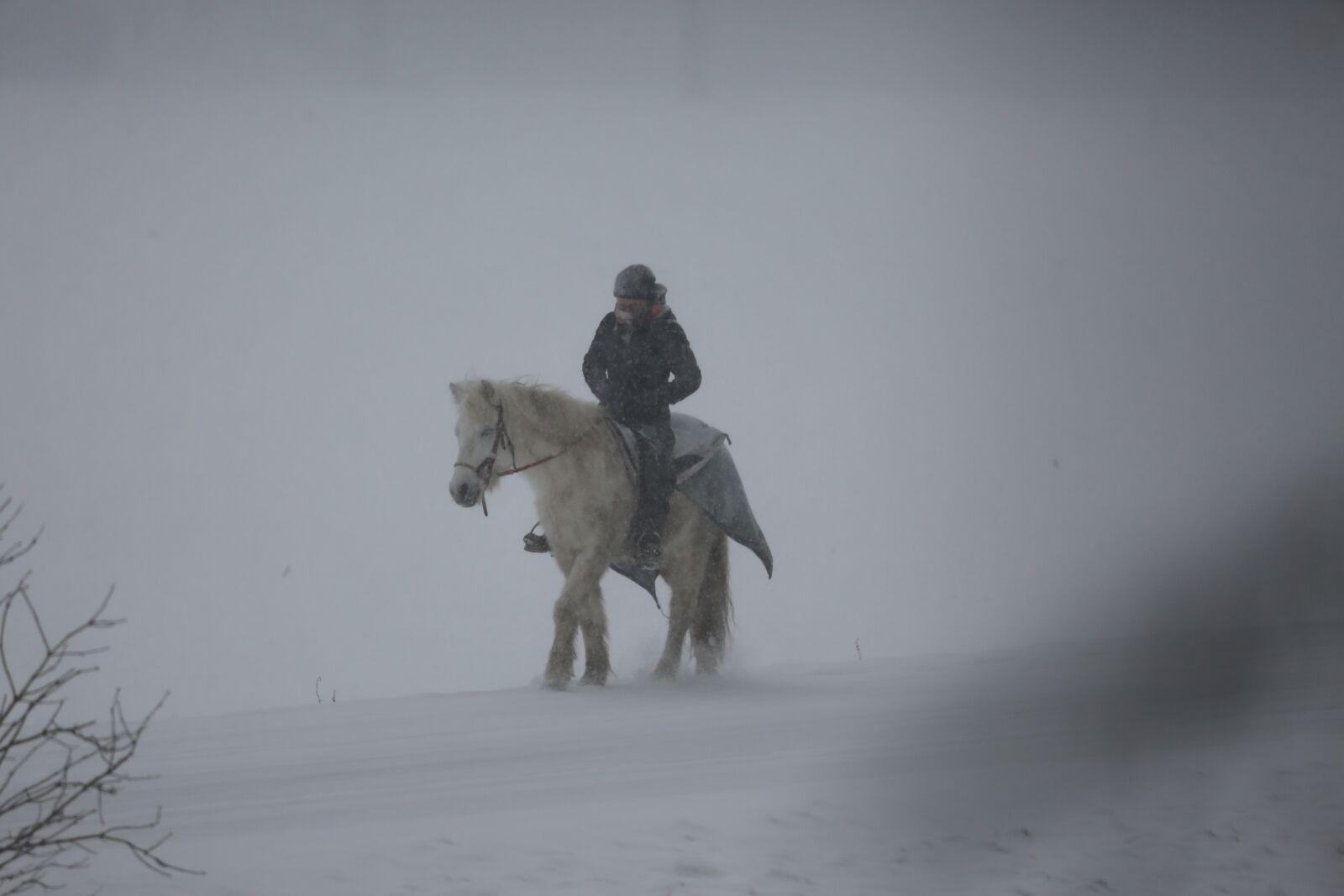 Canon EF 100-400mm F4.5-5.6L IS USM sample photo. Reiter, snow, mystical photography