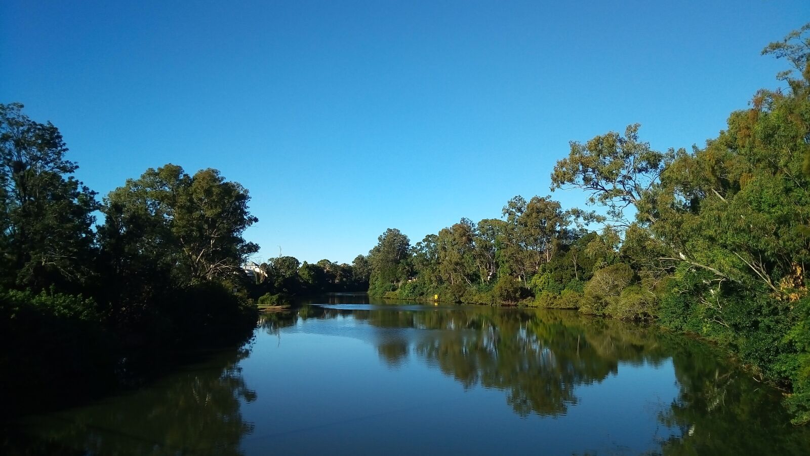 ASUS ZenFone 3 Max (ZC520TL) sample photo. Mirror image, nerang, gold photography