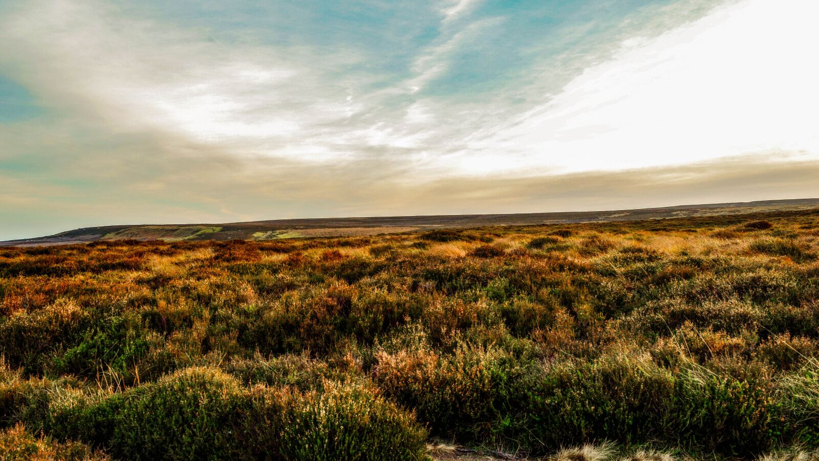 Nikon D3200 sample photo. Moor, landscape, nature photography