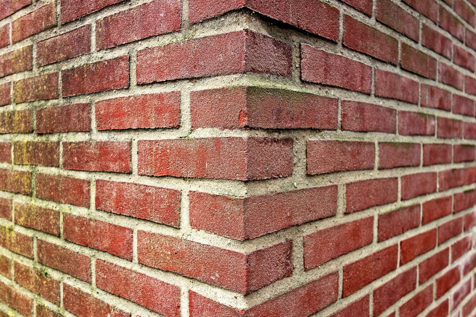 Sony Cyber-shot DSC-RX100 sample photo. Wall, brick wall, red photography