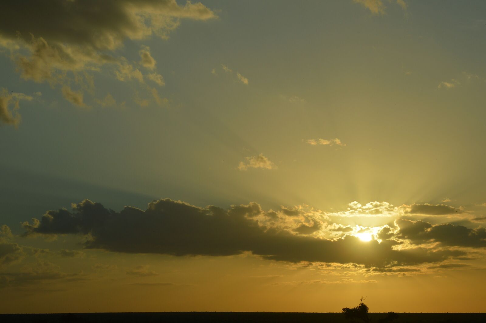 Nikon D3200 sample photo. Kenya, sunset, africa photography