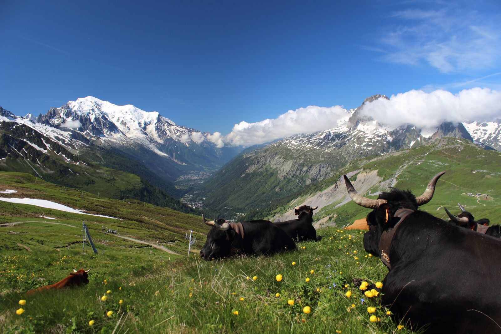 Canon EOS 600D (Rebel EOS T3i / EOS Kiss X5) sample photo. Mont blanc, tour mont photography