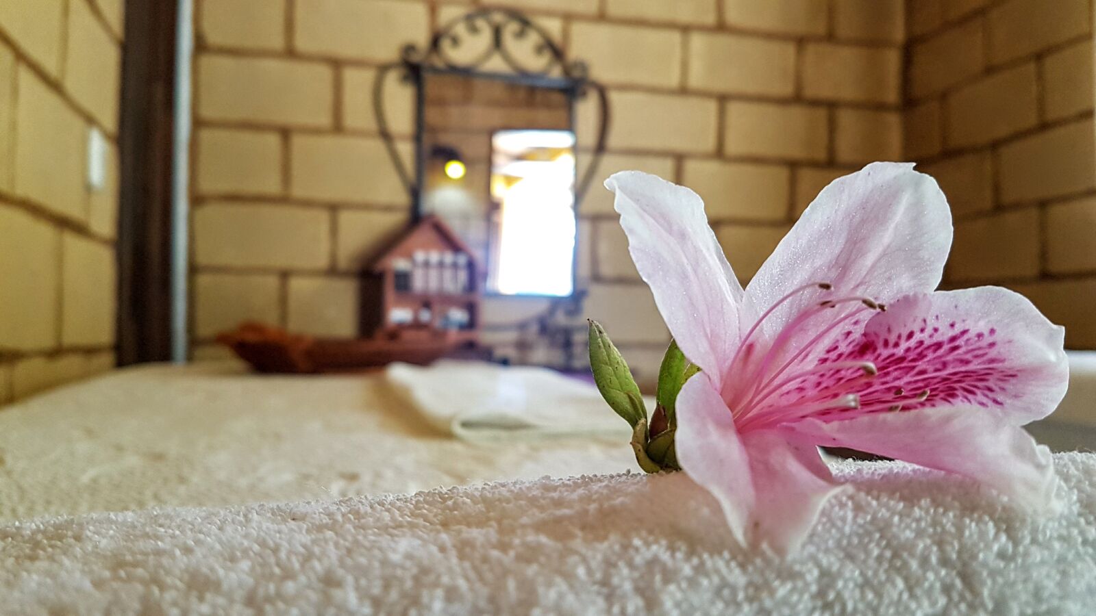 Samsung Galaxy S7 Edge sample photo. Relaxation, flower, luxury photography