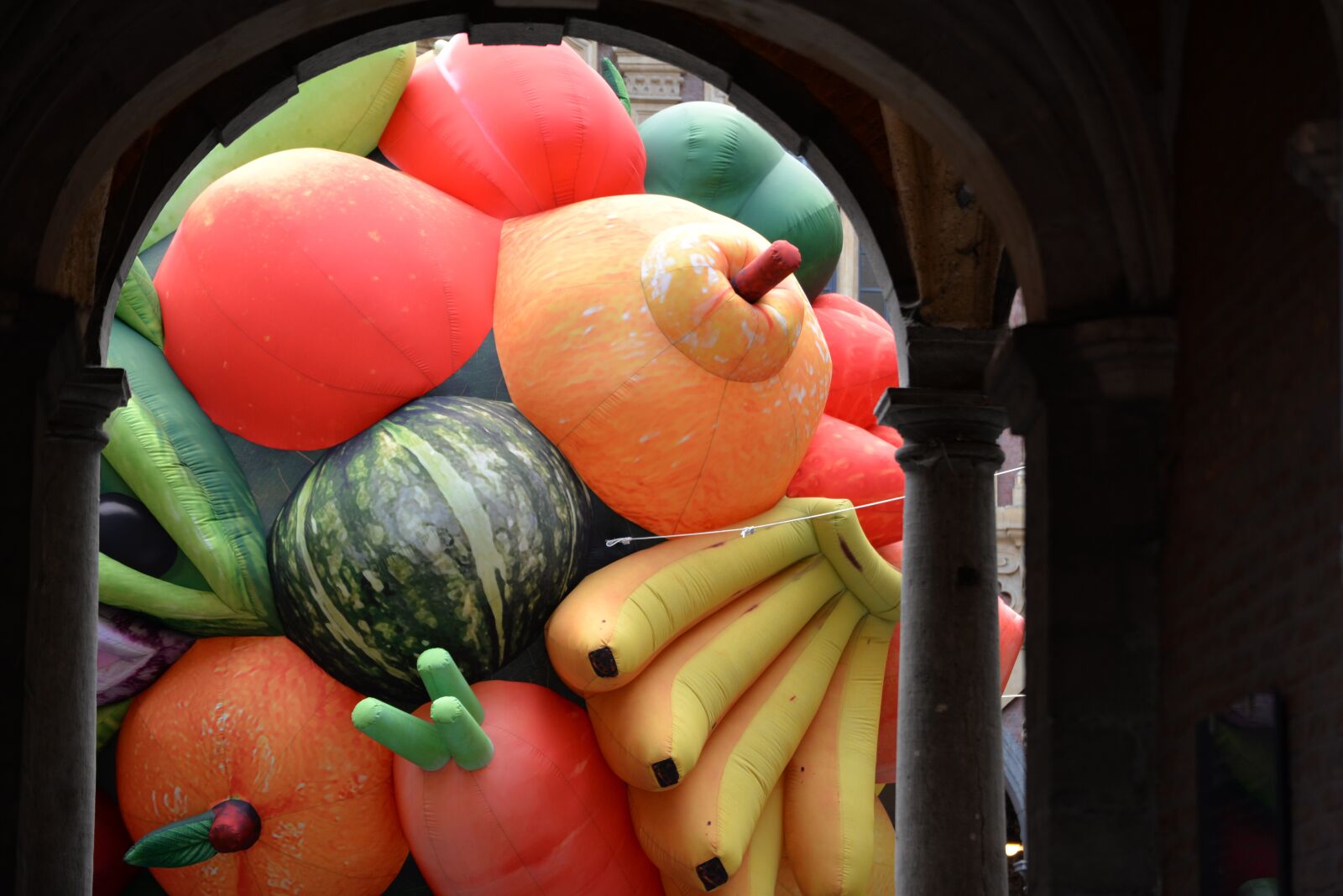Nikon D610 sample photo. Lille, fruit, arts photography