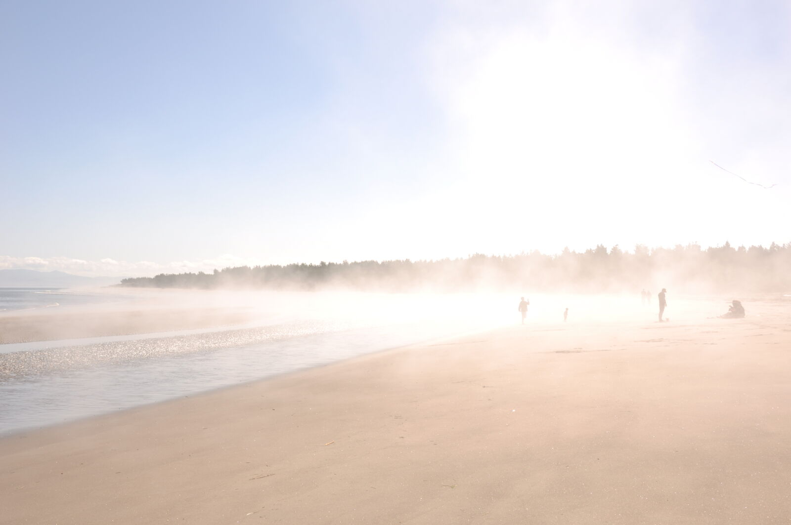 Nikon D90 sample photo. Beach, oregon, river photography