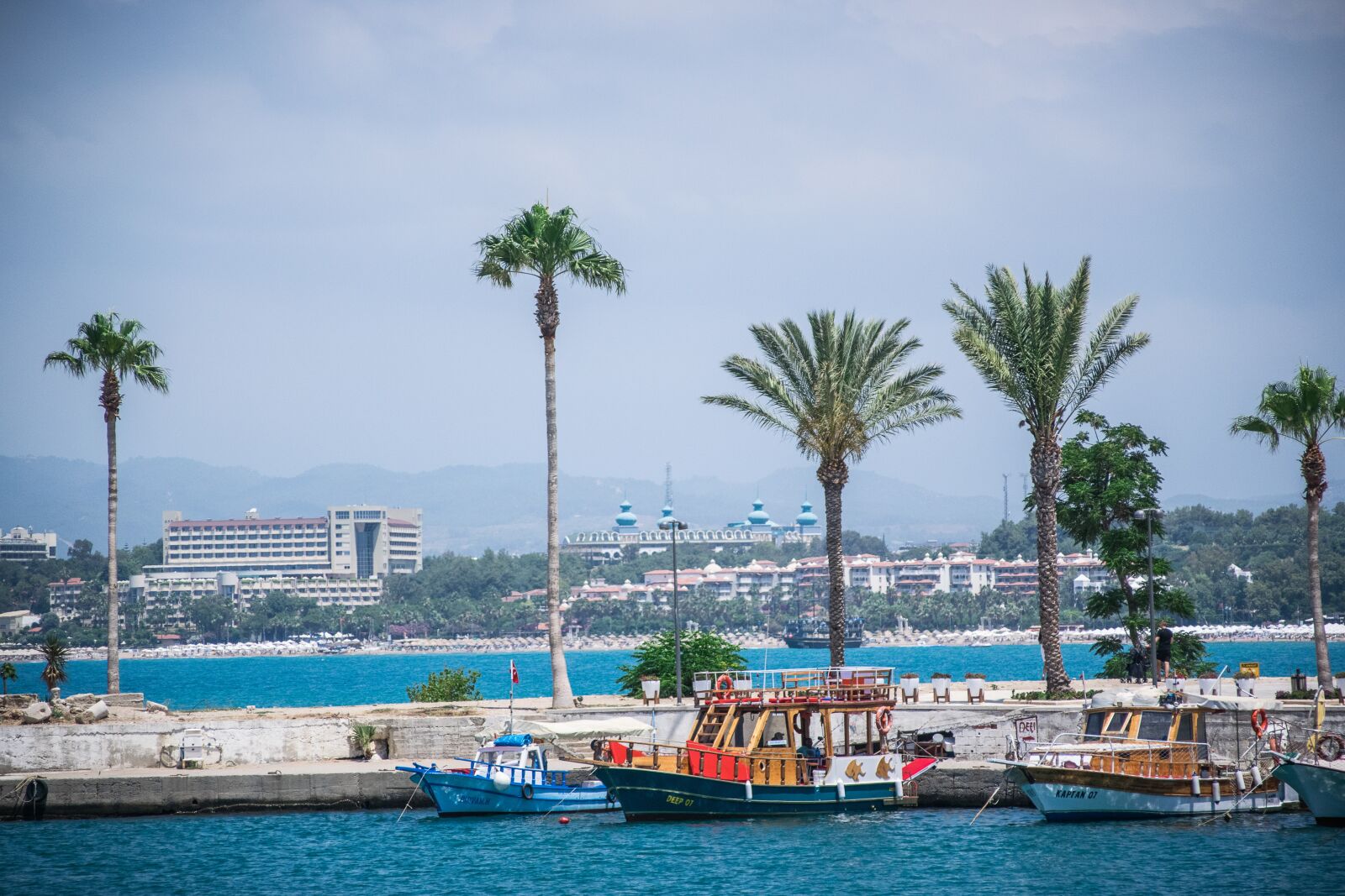 Nikon D5300 sample photo. Sea, trees, holidays photography