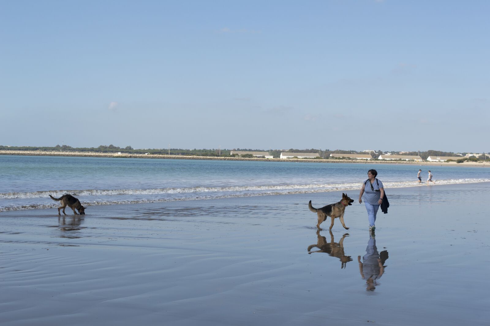 Nikon D3200 sample photo. Beach, dog, sand photography